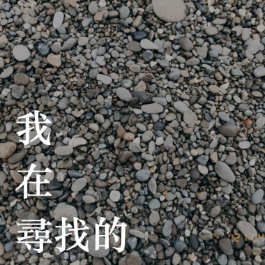 我在尋找的