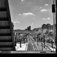 240809 孤獨的回聲 Echo of Loneliness