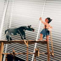 240914 牛與驟雨 The Bull and the Sudden Rain