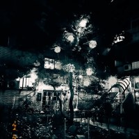 250111 墜滴孤寂 Dripping Loneliness