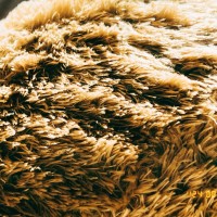 240816 流淌的午後 Flowing Afternoon