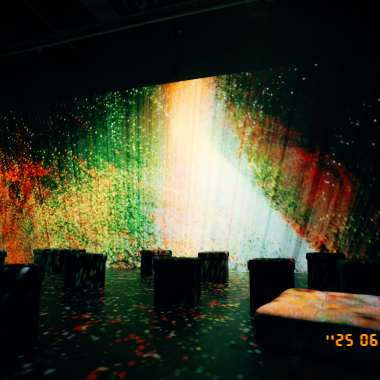 250731 荒野路途 The Wild Road