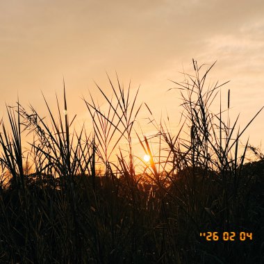 260226 看見 Be seen