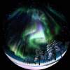 Legends of Aurora 