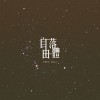 子夜貓 Midnight Cat