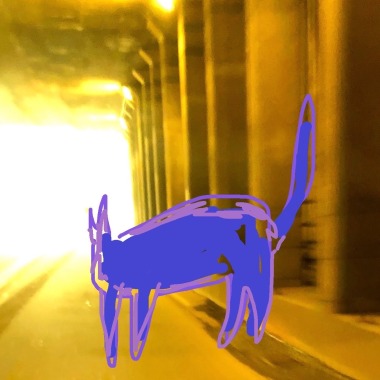 貓咪走路