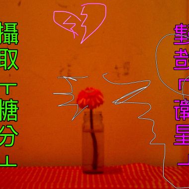 攝取ㅏ糖分ㅓ、建造ㄴ衛星ㄱ…