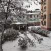 山雪间