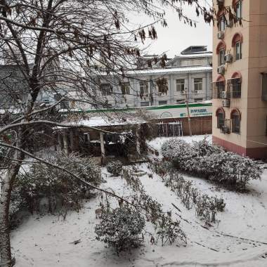 山雪间