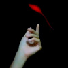紅羽毛（demo）