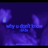 Lil Zu - Why u Don't Know (EnD?💧⚡️)
