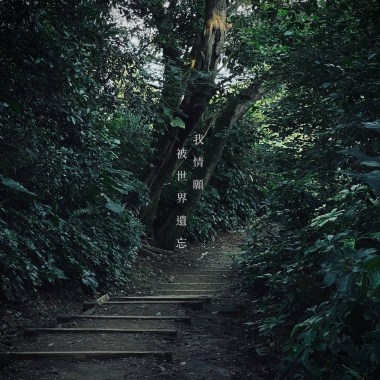 我情願被世界遺忘