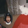 Shallow Hills 