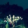 PokerJ - 點亮夜空