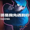 要是我先遇到你