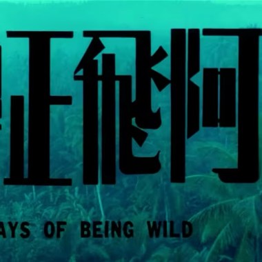 Los Indios Tabajaras - Always In My Heart (Days of Being Wild OST)