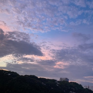 想见