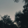 Reason (demo)