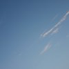 大鵬
