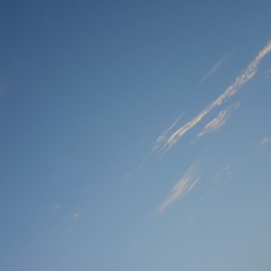 大鵬