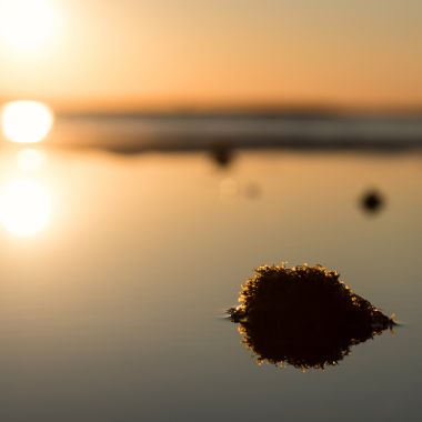 summer breeze