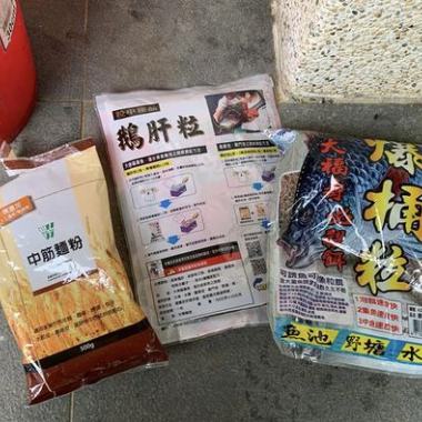 永春陂棲地維護實作＿2-4