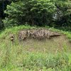 濕地養護區草皮、遮光爬藤隧道、觀察教室、林緣濕地、濱水平台