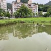 開放式水域、觀水平台、出水口