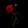 "Pray"(Prod.By Slim.Viz)