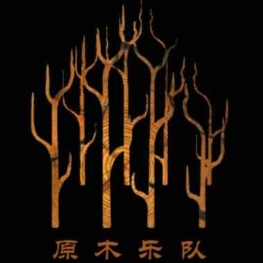 原木乐队 - 美丽