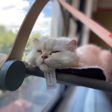 Dreaming of you