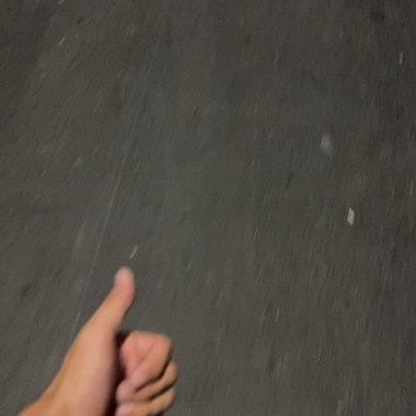 生存生活生命