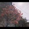 在一起 demo