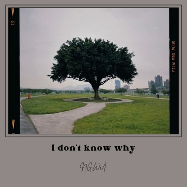 I don't know why (demo)