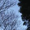 我愛你 (Demo)