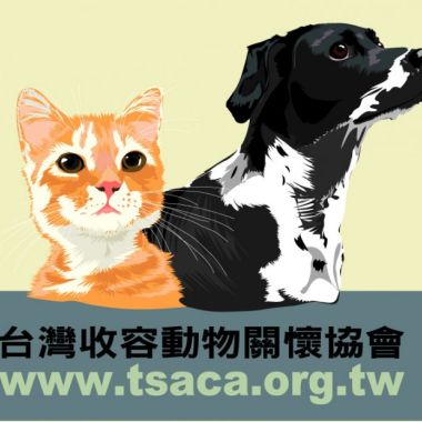 快來加入 貓狗同樂會 志工群08232024