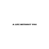 A Life Without You