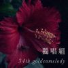 34 獨唱組_嘉義大學_視覺藝術學系大四_趙磊