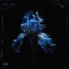 Blue Iris Demo