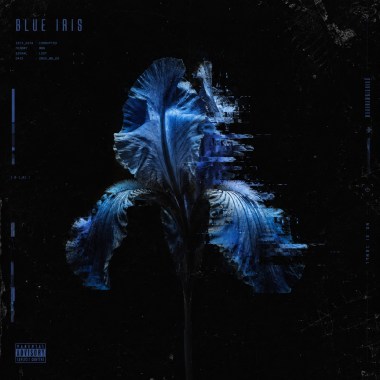 Blue Iris Demo