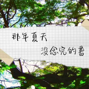 那年夏天沒念完的書