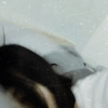我看見海底石頭被曝曬