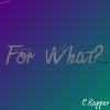 C.Rapper饒舌瘋子【For What?】為了什麼?