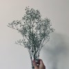 轉身以後demo