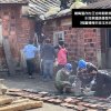 不塵不苦