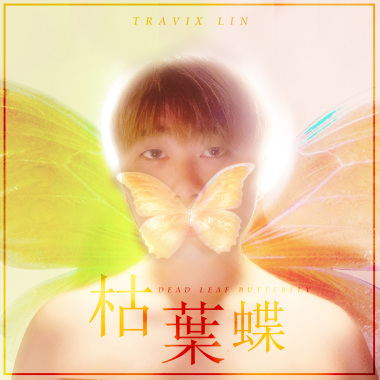 枯葉蝶