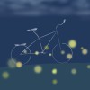 Summer Night