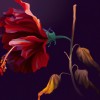 C03_Flowers Fall(花落)