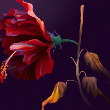 C03_Flowers Fall(花落)