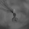 虛 demo